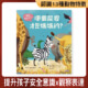 提升幼兒安全意識★糟糕...我走丟了！哪個屁股才是媽媽的？