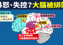 暴怒失控是大腦被綁架