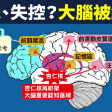 暴怒失控是大腦被綁架
